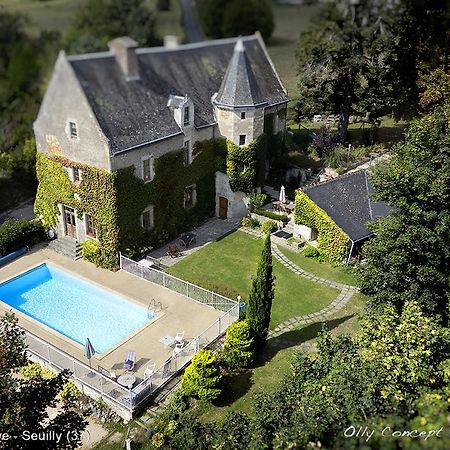 Manoir de l'Abbaye Bed & Breakfast Seuilly Dış mekan fotoğraf