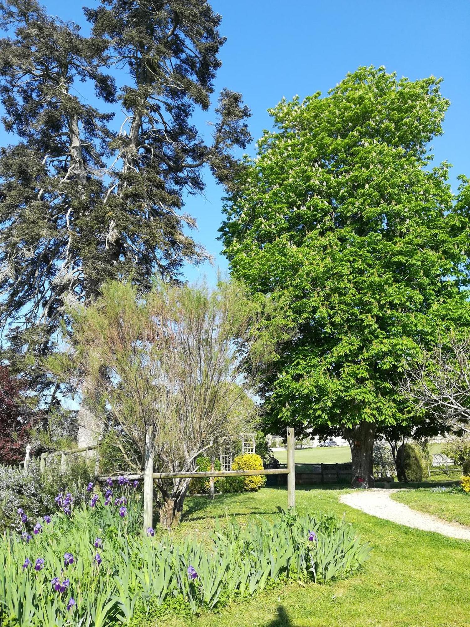 Manoir de l'Abbaye Bed & Breakfast Seuilly Dış mekan fotoğraf
